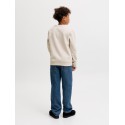 JACK & JONES Benson Sweatshirt - Moonbeam