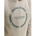 JACK & JONES JUNIOR Benson sweat hoodie - Vetiver