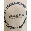 JACK & JONES JUNIOR Benson sweat hoodie - Moonbeam