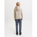 JACK & JONES JUNIOR Benson sweat hoodie - Moonbeam