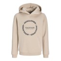 JACK & JONES JUNIOR Benson sweat hoodie - Moonbeam