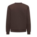JDY Paris langærmet sweatshirt - Coffee Bean