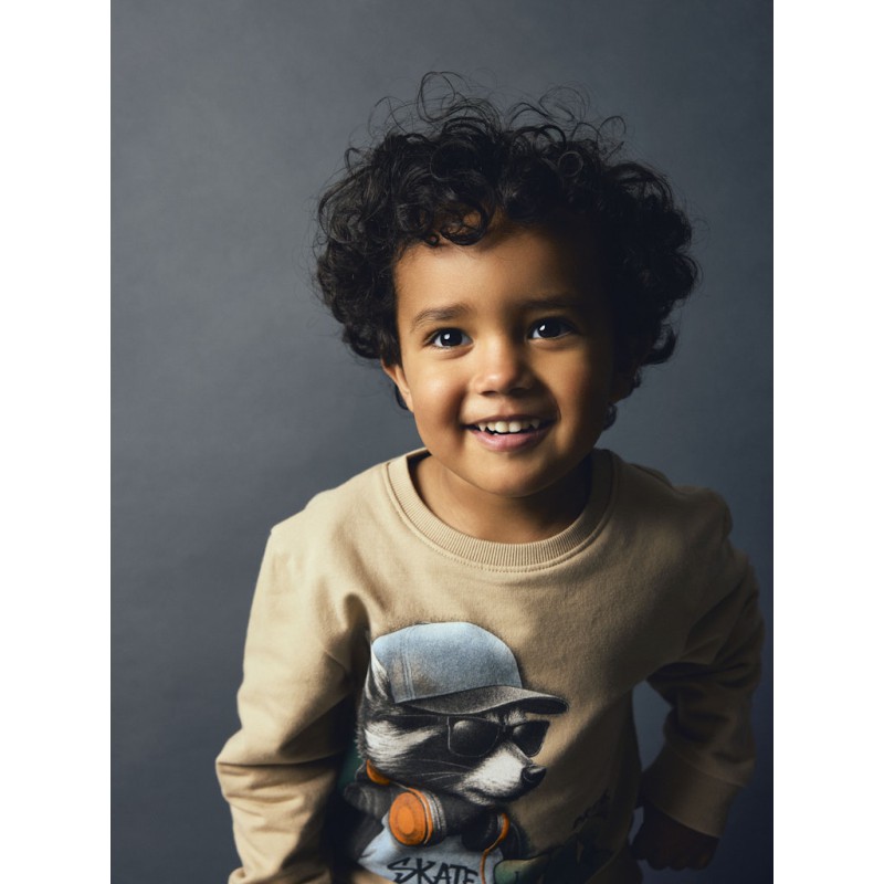 NAME IT MINI Nathaniel sweatshirt - Sesame