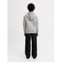 JACK & JONES JUNIOR Legacy sweat scuba hoodie - Light Grey Melange