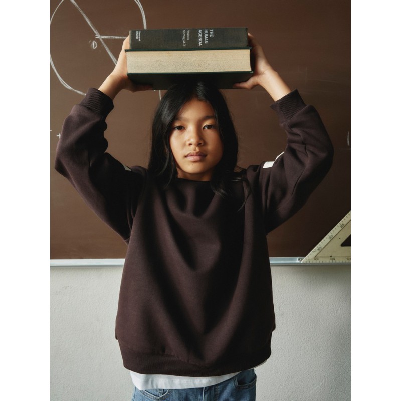 NAME IT KIDS pige - Nokki langærmet sweatshirt - Chocolate Plum