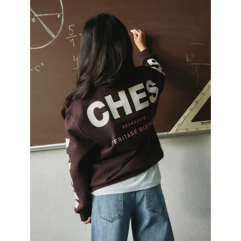 NAME IT KIDS Nokki langærmet sweatshirt - Chocolate Plum