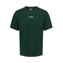 ONLY & SONS Mass chill life relaxed T-shirt - Pine Grove Print / RECORD