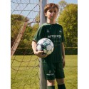 NAME IT MINI Timo T-shirt - Greener Pastures