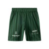 NAME IT KIDS dreng - Timo regular shorts - Greener Pastures