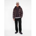 JACK & JONES Bill Skuba Sweatpants - Black