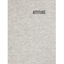 LMTD Mopaw L/S Sweat W Hood - Light Grey