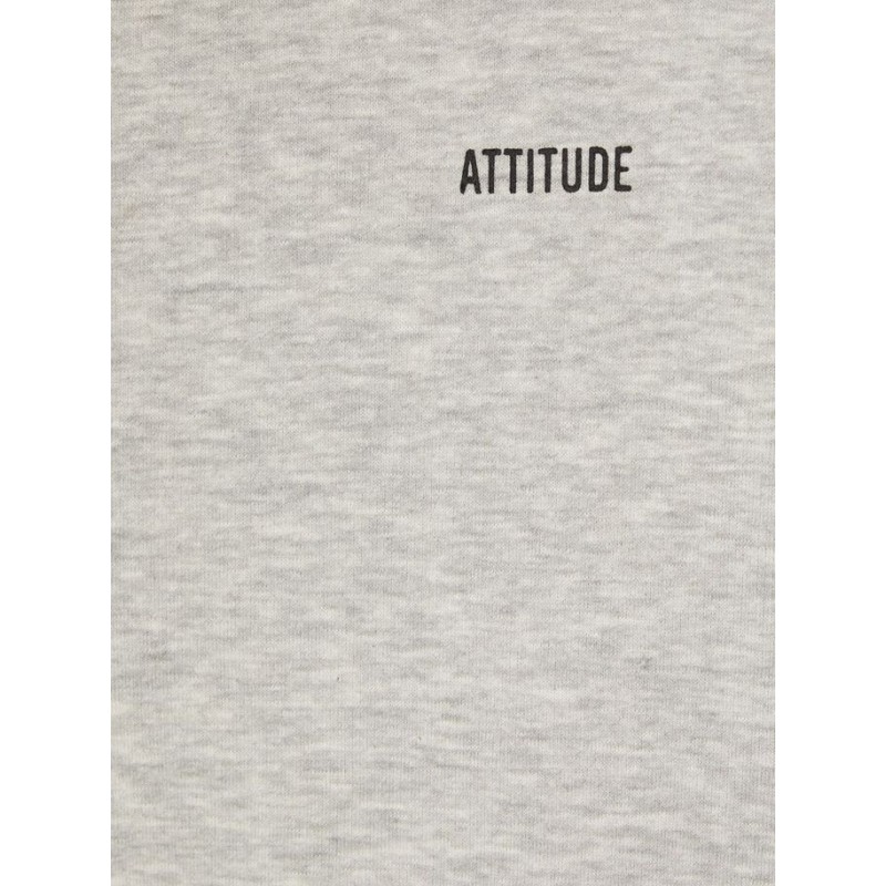 LMTD Mopaw L/S Sweat W Hood - Light Grey