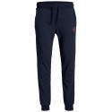 Tøj til Store Drenge 2XL - 8XL | Jack & Jones Plus Size Sweatpants