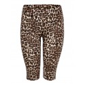ONLY CARMAKOMA LEO KNICKERS