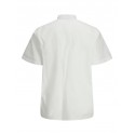 JACK & JONES Plus Charlie Kortærmet Skjorte - Cloud Dancer