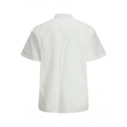 JACK & JONES Plus Charlie Kortærmet Skjorte - Cloud Dancer