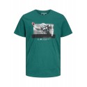 JACK & JONES Plus T-shirt - Evergreen