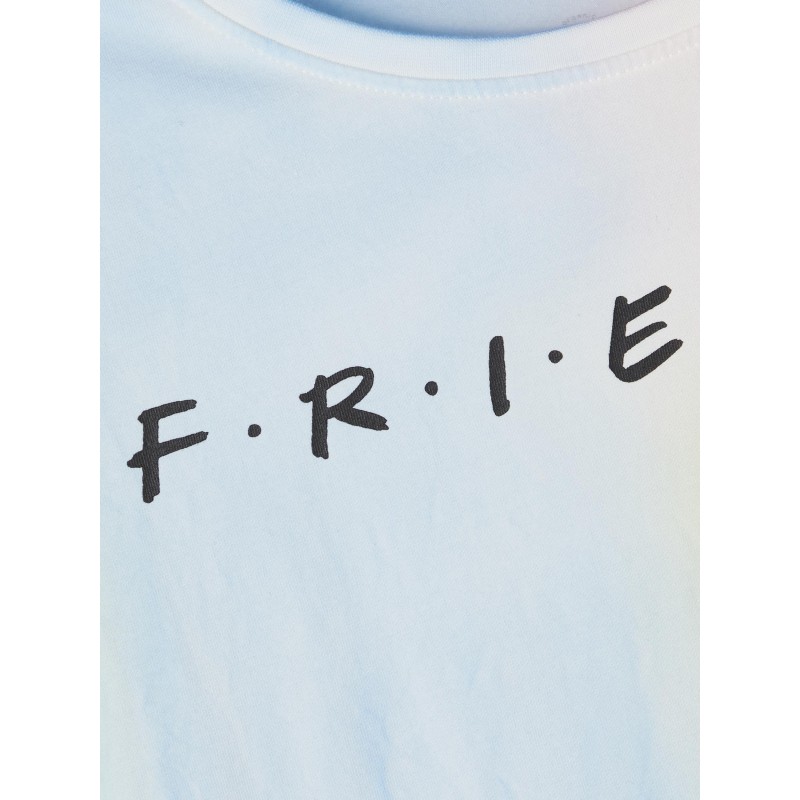 LMTD Friends kortærmet kort T-shirt - Cherry Blossom