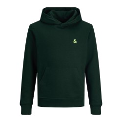 Jack & Jones Junior Star Roof hoodie - Pine Grove