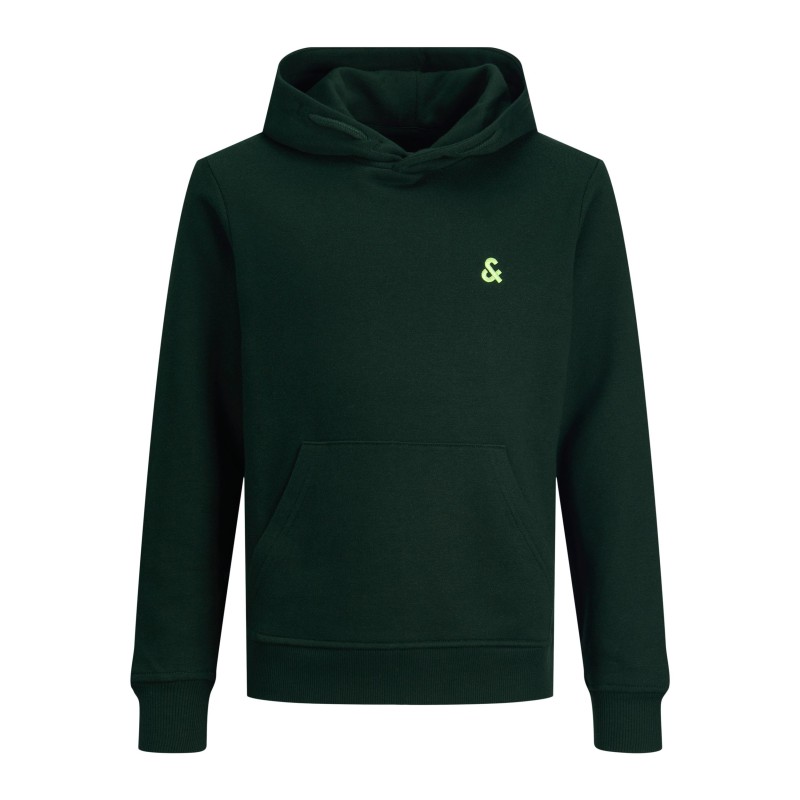 Jack & Jones Junior Star Roof hoodie - Pine Grove