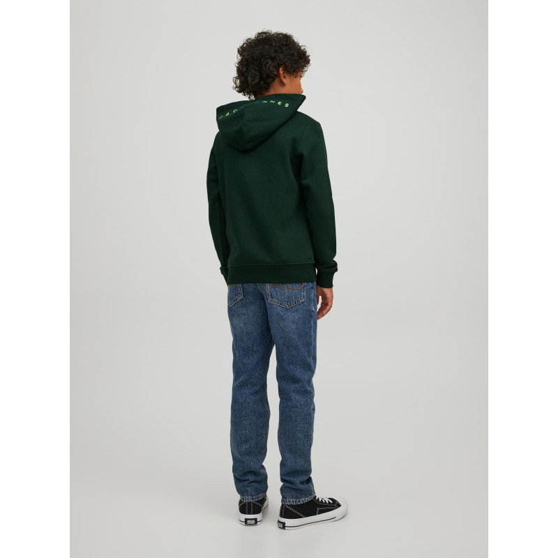 Jack & Jones Junior Star Roof hoodie - Pine Grove