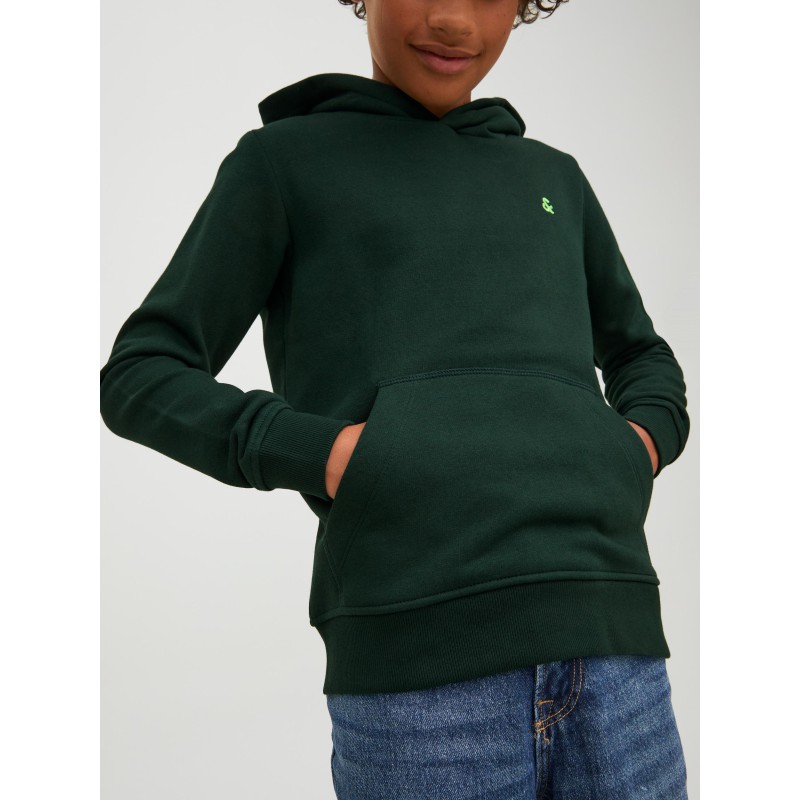 Jack & Jones Junior Star Roof hoodie - Pine Grove