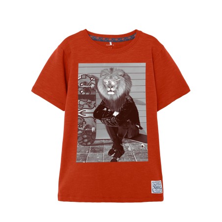 NAME IT Kids Kala T-shirt - Rooibos Tea