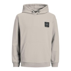 JACK & JONES JUNIOR Filo Sleeveprint Hoodie - Moonbeam