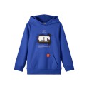 NAME IT Kids Besper Sweat Hoodie - Surf The Web