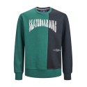 JACK & JONES Joroli Skater Block Sweat Crew Ln Junior - Trekking Green