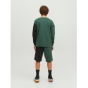 JACK & JONES Joroli Skater Block Sweat Crew Ln Junior - Trekking Green