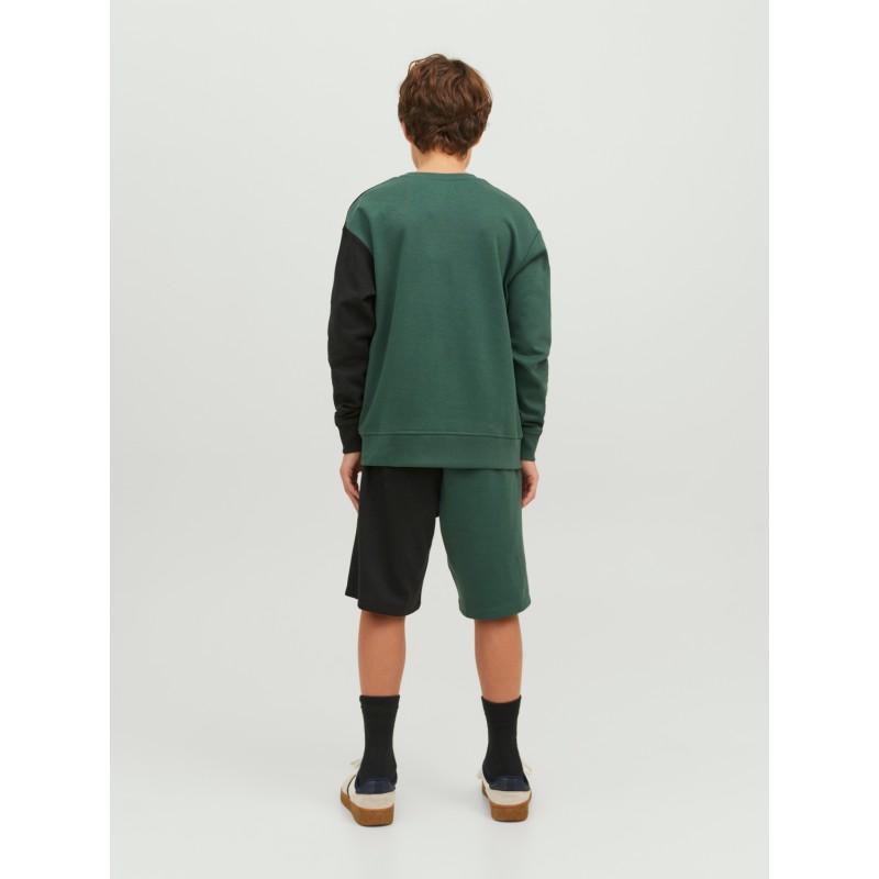 JACK & JONES Joroli Skater Block Sweat Crew Ln Junior - Trekking Green