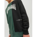 JACK & JONES Junior Skater Sweatshirt - Trekking Green