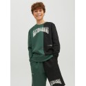 JACK & JONES Junior Skater Sweatshirt - Trekking Green