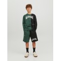 JACK & JONES Junior Skater Sweatshirt - Trekking Green