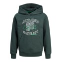 JACK & JONES JUNIOR Jortribeca Sweat Hood Os Junior - Magical Forest