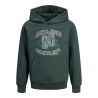 JACK & JONES Junior Tribeca Sweat Hoodie - Magical Forest