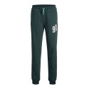 JACK & JONES Junior Tribeca Sweatpants - Magical Forest