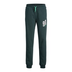 JACK & JONES Junior Tribeca Sweatpants - Magical Forest