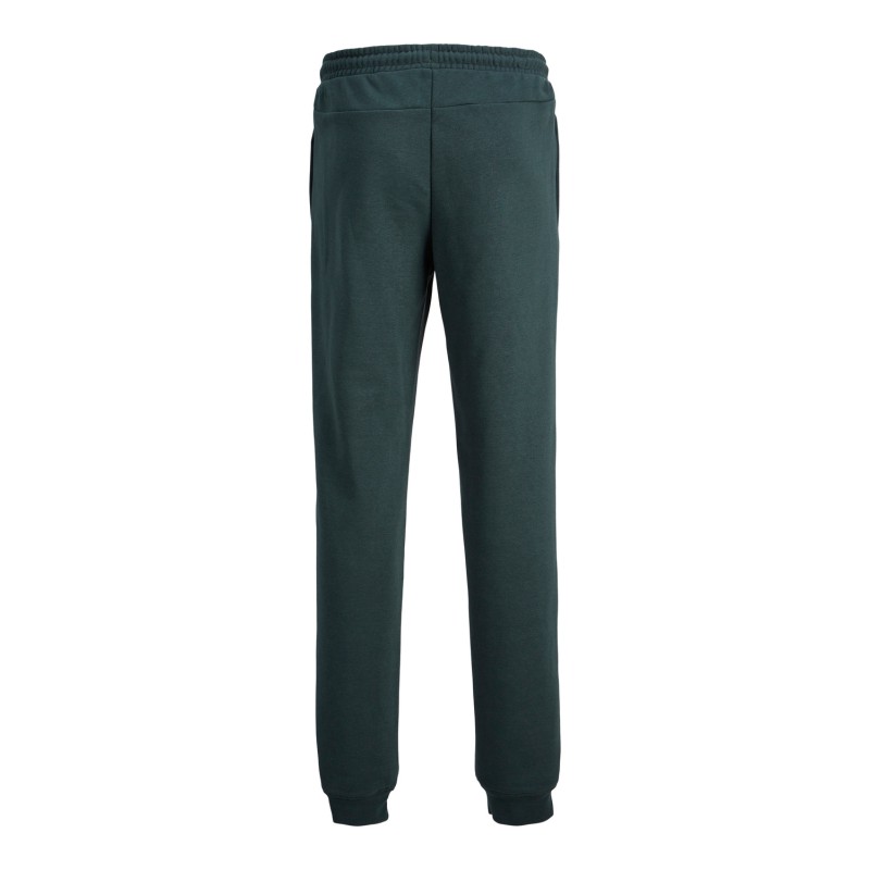JACK & JONES Junior Tribeca Sweatpants - Magical Forest