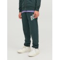 JACK & JONES Junior Tribeca Sweatpants - Magical Forest
