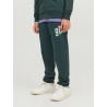 JACK & JONES Junior Tribeca Sweatpants - Magical Forest