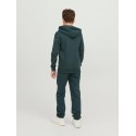 JACK & JONES Junior Tribeca Sweatpants - Magical Forest