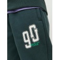 JACK & JONES Junior Tribeca Sweatpants - Magical Forest