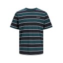 JACK & JONES Junior Hays Stribet T-shirt - Sort