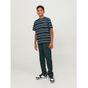 JACK & JONES Junior Hays Stribet T-shirt - Sort