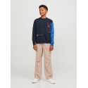 JACK & JONES Junior Activ Block Sweatshirt - Navy Blazer