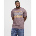 JACK & JONES Plus Logo Rund Hals T-shirt - Port Royale