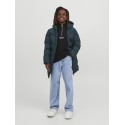 JACK & JONES Junior Alex Baggy Jeans - Blue Denim