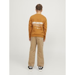 JACK & JONES JUNIOR Jjialex Jjcarpenter Wi 050 Sn Junior - Tigers Eye